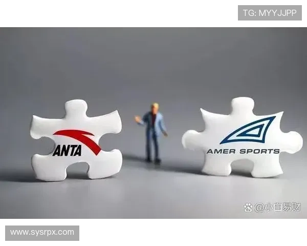 聚焦体育转化率提升路径与商业价值深度解析创新策略与实践案例探讨 - 副本 - 副本 (2) - 副本